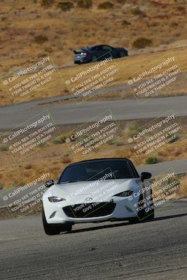 media/Feb-22-2025-Team Topak Racing (Sat) [[cb57a51a40]]/Intermediate Low1/Turns 13 and 14/